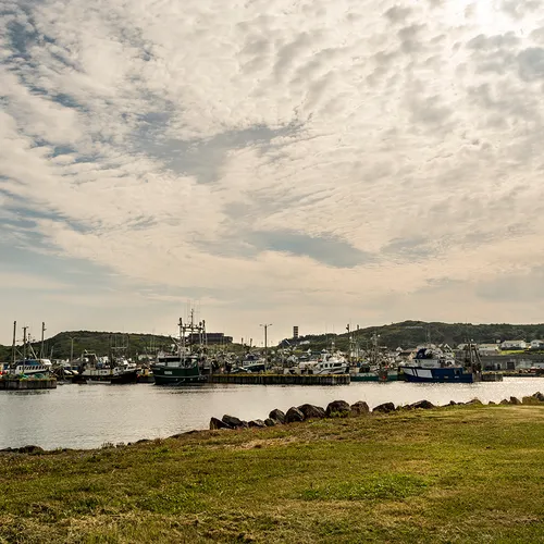 Twillingate 67
