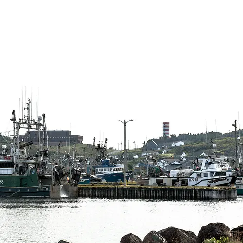 Twillingate 69