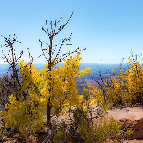 CanyonlandsNationalPark 22