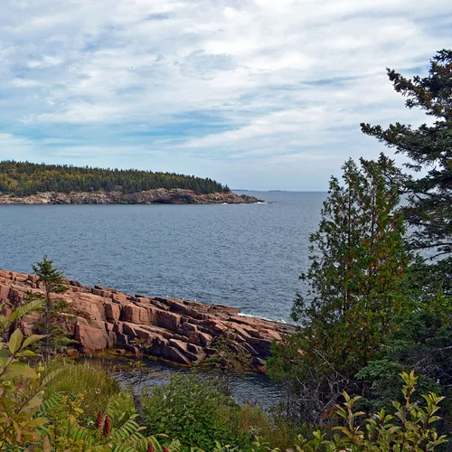 Acadia Shore Fall 1-19
