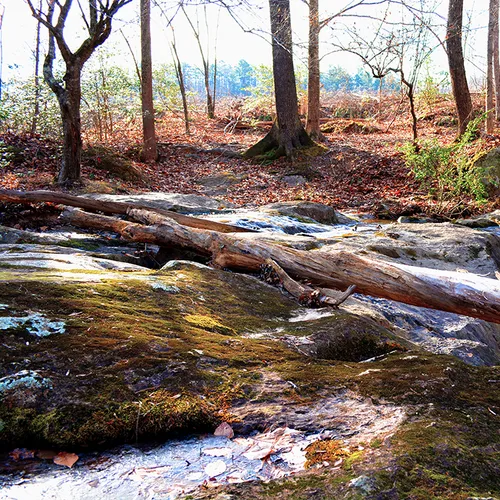 Uwharrie Stream 4