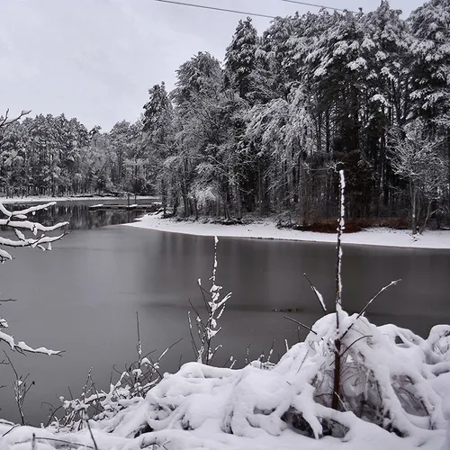 Snow 2015 Pond