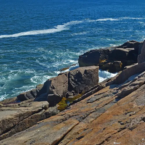 Acadia Rocks Fall 1-1