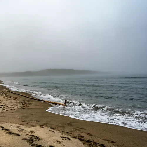 PortAuxBasqueReturn 11