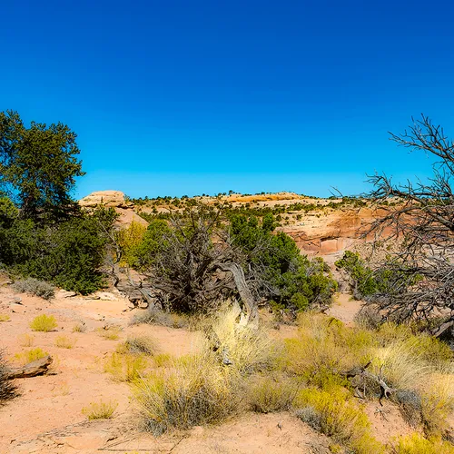 CanyonlandsNationalPark 4