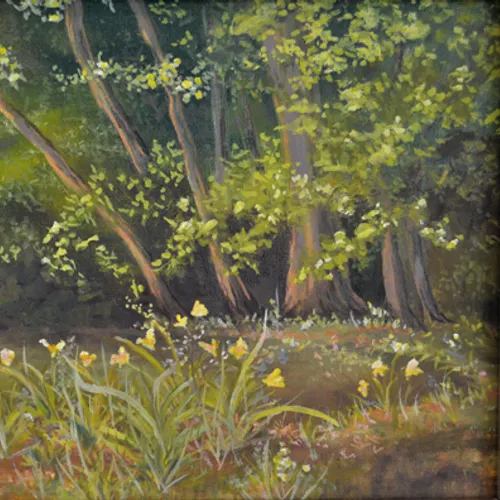 Daylilies at the creek