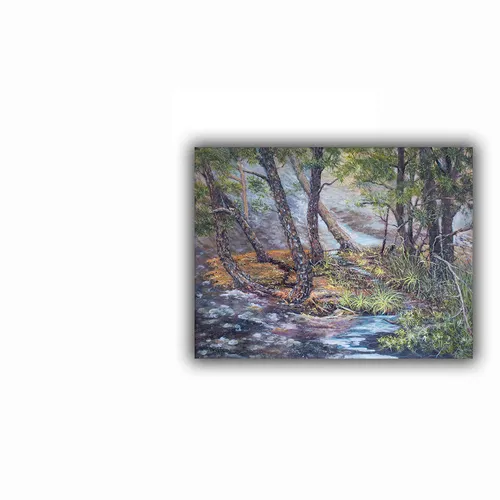 Stone Mountain Summit 1