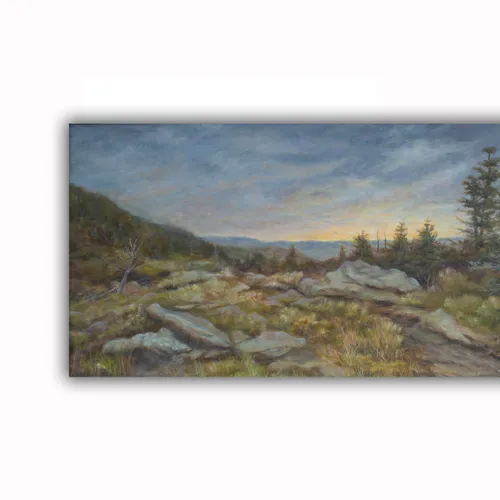 Grandfather Mountaintop 1