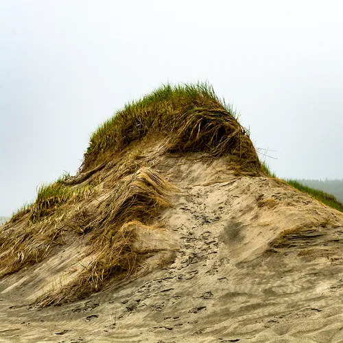 PortAuxBasqueReturn 18
