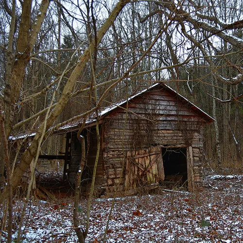 Snow 2015 Stanback Barn