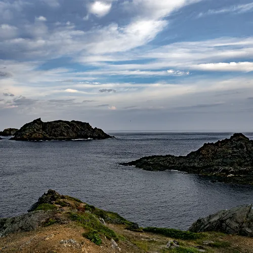 Twillingate 45