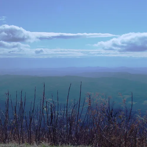 Sticks And Curves Br