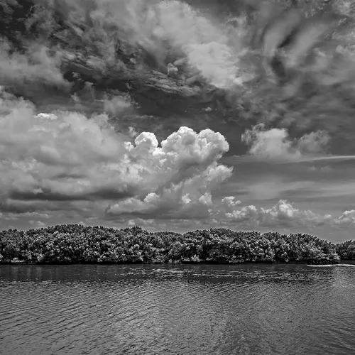 Cedarkey 3 B&W