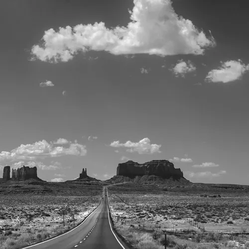 Forrest 1 Utah 163 B&W 1