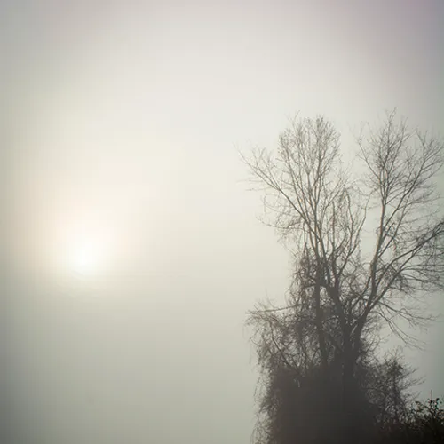 Fanniesloan 2015 Fog 3